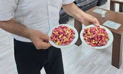 Şanlıurfa'da Fıstık Mesaisi Başladı! İlk Mahsul Borsaya Ulaştı