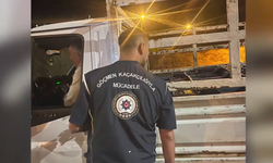 81 İlde Dev Göç Operasyonu: 25 Organizatör ve 355 Düzensiz Göçmen Yakalandı