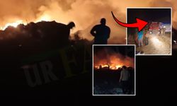 Suruç'ta Geceyi Aydınlatan Yangını Jandarma TOMA'ları Söndürdü