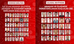 Aranan 54 Suçlu Yakalanarak Türkiye’ye İade Edildi