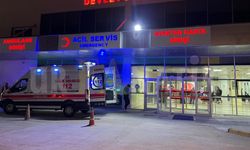 Bozova’da Arazi Kavgası Kanlı Bitti! Amca Çocukları Birbirine Girdi
