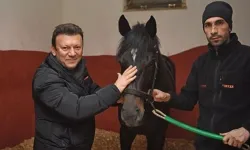 Fedai Kahraman Kimdir, Nereli, Ne İş Yapıyor? Gazi Koşusu’nun Dikkat Çeken At Sahibi, Eşi Sanem Kahraman ve Yarışçılık Başarıları