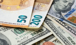 Dolar Kaç TL Oldu, Euro Ne Kadar? ( 23 Temmuz  Güncel Döviz Kurları)