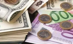 Dolar Kaç TL Oldu, Euro Ne Kadar? ( 28 Temmuz  Güncel Döviz Kurları)