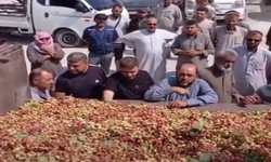 Suriye Ve Şanlıurfa Arasındaki Fıstık Fiyatı Şaşırttı! İşte Çok Konuşacak Fiyat…