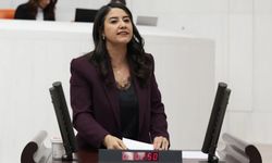 Şanlıurfa Milletvekili Dilan Kunt Ayan'dan NATO Zirvesi Öncesi Tutuklamalara Tepki
