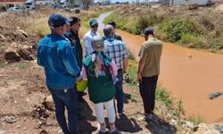 DSİ Bölge Müdürü Kösalı, Şanlıurfa'daki Tahliye Kanalı Çalışmalarını İnceledi