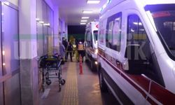 Eyyübiye'de Meydana Gelen Olayda 2 Genç Yaralandı