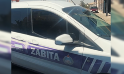 Eyyübiye’de Zabıta Denetimleri Sıkılaştı: Hijyen Koşulları Mercek Altında