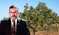 Başkan Faruk Akbaş’tan Yeni Hasat Öncesi Fıstık İthalatına Tepki