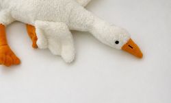 Ticaret Bakanlığı Boğulma Riski Taşıyan Peluş Oyuncağı Toplatma Kararı Aldı