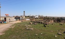 Şanlıurfa’nın Cibinören Mahallesi’ndeki Harabe Yerleşimi Zamana Direniyor