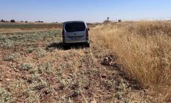 Harran’da Kontrolden Çıkan Otomobil Tarlaya Savruldu