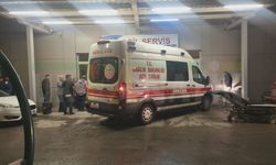 Şanlıurfa'nın Birecik İlçesinde Meydana Gelen Olayda Bir Kadın Yaralandı
