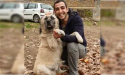 Kocakarı Ansiklopedisi’nin Kurucusu Volkan Alaei Kimdir, Kaç Yaşında, Nereli, Eşi Kim, Ne İş Yapıyor?