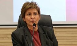 Nevin İl Kimdir, Neden Öldü? DTSO Meclis Başkanı Nevin İl’in Hastalığı ve Kariyeri