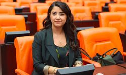 Şanlıurfa Fıstığında Alarm!