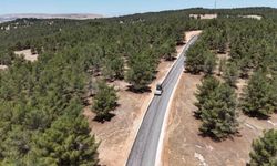 Şanlıurfa Orman Bölge Müdürlüğü'nden Yangın Uyarısı