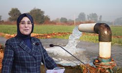 Şanlıurfa’da 140 Bin Dekarlık Arazi Modern Sulamayla Buluşuyor