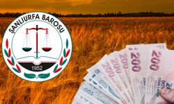 Şanlıurfa'da Borcunu Ödeyen Çiftçinin Emeği Kurumaya Terk Edildi