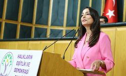 Şanlıurfa'da Çiftçiyi Zora Sokan Sorunlar Bir Bir Sıralandı