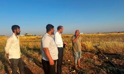 Şanlıurfa'da Dönüm Başına 7 Bin 20 TL Tepki Topladı!