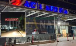 Şanlıurfa'da Elektrik Akımına Kapılan Hira Çelik Hayatını Kaybetti