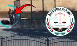 Şanlıurfa’da Emine Dişçi’nin Vurulmasının Ardından Barodan Açıklama Geldi
