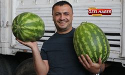 Şanlıurfa'da Karpuzun Kilosu Ne Kadar? İşte Güncel Fiyatlar