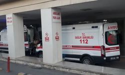 Şanlıurfa'da Otomobil ile Kamyonet Çarpıştı: İki Kız Kardeş Yaralandı
