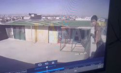 Şanlıurfa'da Pes Dedirten Hırsızlık! Güvercinleri Çalarken Kameraya Yakalandılar