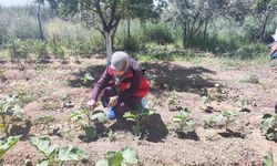 Şanlıurfa'da Üreticinin İhbarı Sonrası Ekipler Harekete Geçti