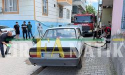 Şanlıurfa'da Yılan Vakaları Arttı