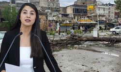 Şanlıurfa’daki Afetzedelere Verileceği Açıklanan 50 Milyon TL’lik Hibe Kimlere Verildi?