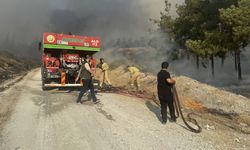 Şanlıurfa’daki Yangın Sonrası Büyükşehir ve Orman Bölge Müdürlüğü Açıklamada Bulundu
