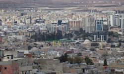 Şanlıurfa’nın Asırlık Zeytin Ağacı İçin Düğmeye Basıldı!