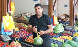 Şanlıurfa'da Yerli Sebze Sezonu Başladı: "Lezzette Tarla Ürünü Öne Çıkıyor"