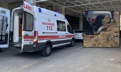 Şanlıurfa'da Feci Kaza: Otomobil Şarampole Uçtu