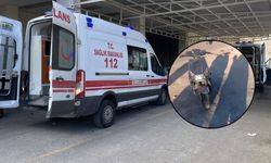 Viranşehir’de Otomobil ile Motosiklet Çarpıştı: Bir Kişi Yaralandı