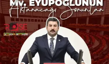 Eyyüpoğlu o toplantıda Şanlıurfa’yı konuşacak!