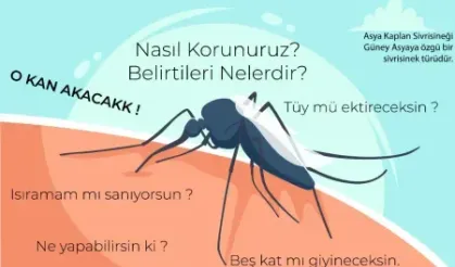 Yaz aylarında sivri sineklerin saldırısına karşı hazır mısınız? Korunmanın ve ısırık sonrası ilk yardımın püf noktalarını öğrenmek için bu görseli inceleyin!