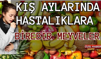 Kış Aylarında Hastalıklara Birebir Meyveler