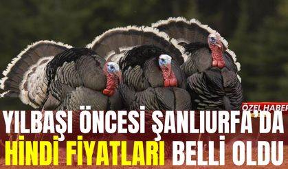 Yılbaşı Öncesi Şanlıurfa’da Hindi Fiyatları Belli Oldu