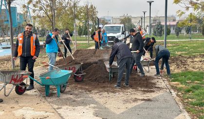 Yemyeşil Eyyübiye İçin Sahadalar