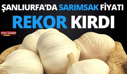 Şanlıurfa’da Sarımsak Fiyatı Rekor Kırdı