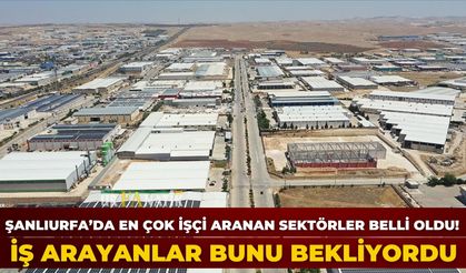 Şanlıurfa’da en çok işçi aranan sektörler belli oldu! İş arayanlar bunu bekliyordu
