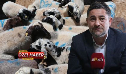 Marketten Alınan Et Kurban Sayılır Mı?