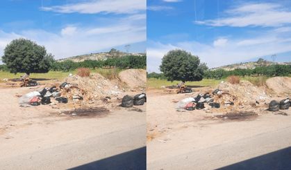 Şanlıurfa’da Kurban Kesimi Sonrası Mide Bulandıran Görüntüler
