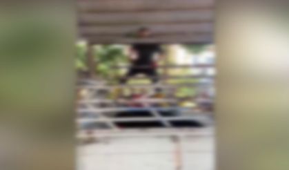 Şanlıurfa’da Kurban Alanında Skandal Görüntü!
