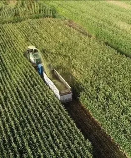 Mazot ve Gübre Desteği Ödeme Tarihi Açıklandı!  Çiftçilere Müjde! Mazot ve Gübre Desteği O Tarihte Hesaplara Yatıyor